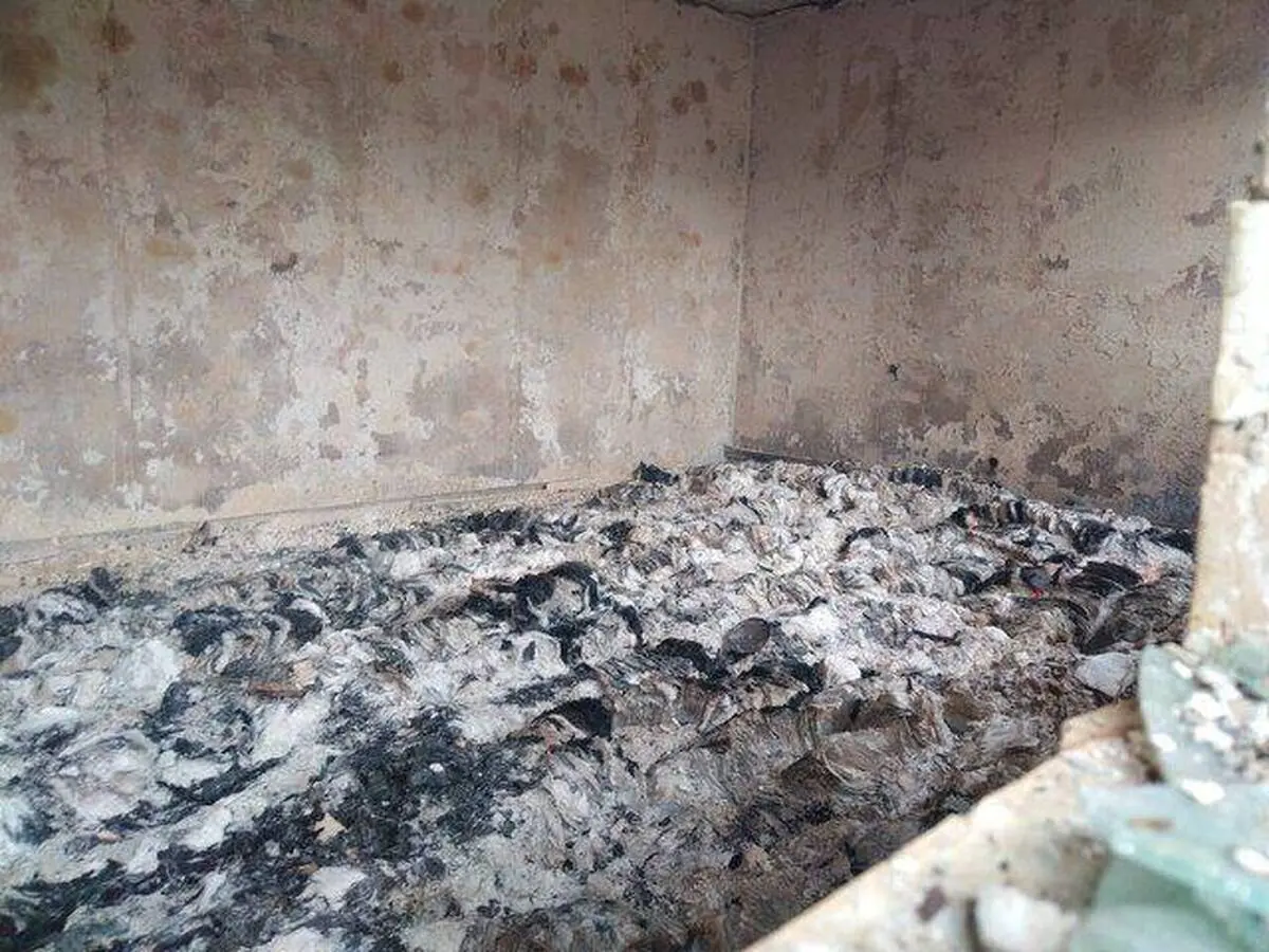 آسیب به بیش از ۵۰ کتابخانه در حوادث اخیر