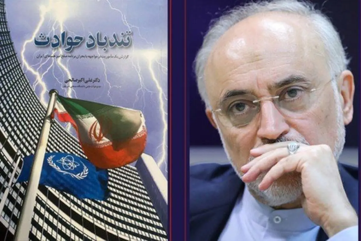 علی اکبر صالحی: ممکن بود ایران با کوچکترین اشتباهی با سرنوشتی مشابه عراق مواجه شود