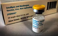 واکسن آبله میمون به دنیا عرضه شد! | ساخت واکسن برای پیشگیری از آبله میمونی