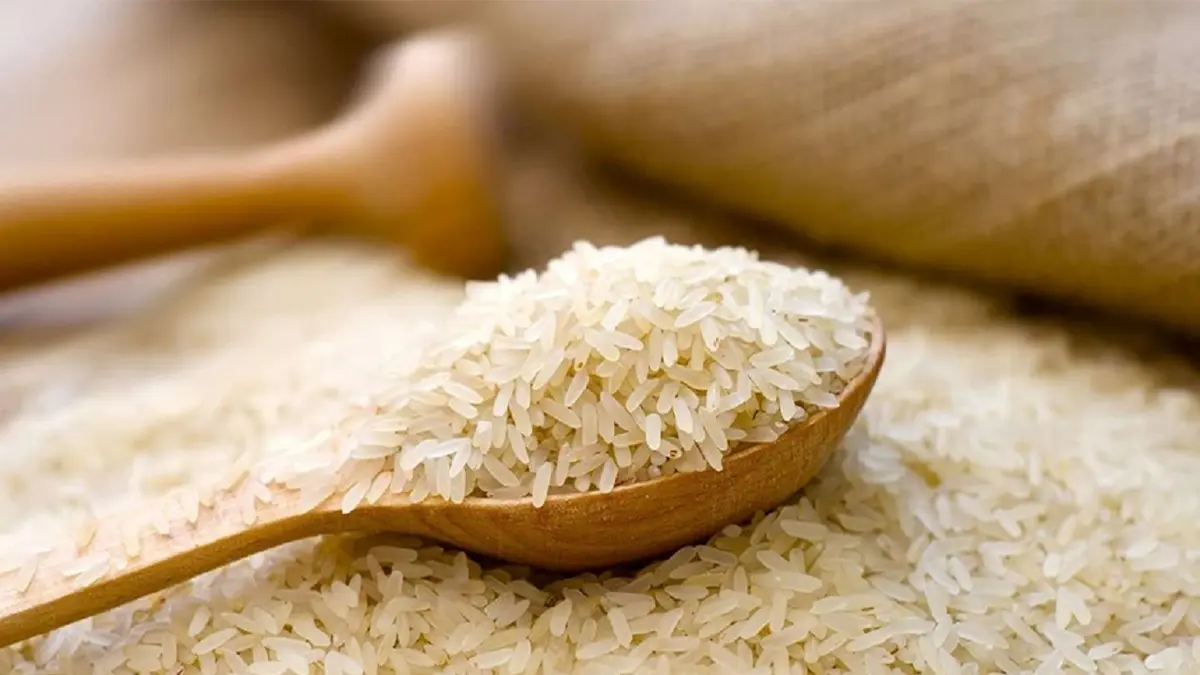 
قیمت برنج در ماه رمضان افزایش نمی یابد 