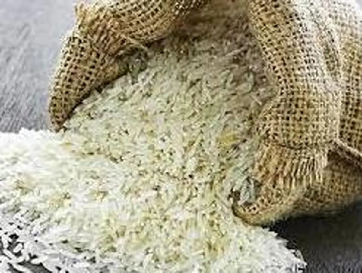 افزایش قیمت برنج تا مرز 40 هزارتومان دست خیلی‌ها را بسته است| معمای بغرنج افزایش قیمت برنج

