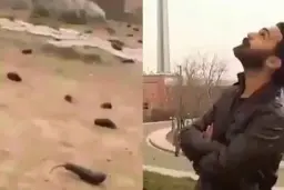 
ماجرای بارش بادمجان در آسمان تهران چیست؟
