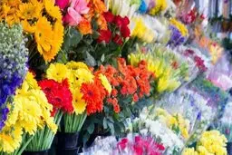  تقاضا برای خرید گل در بازار کمتر از 10در صد می رسد