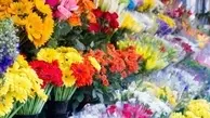  تقاضا برای خرید گل در بازار کمتر از 10در صد می رسد