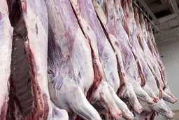  قیمت گوشت روندکاهشی به خود گرفت