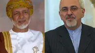 ظریف | گفت‌وگوی ویدئو کنفرانسی ظریف با یوسف بن علوی
