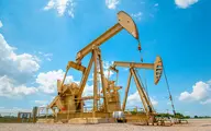 اوپک: قیمت نفت سنگین ایران کاهش یافت/تولید ۲.۰۸۶ میلیون بشکه در روز 