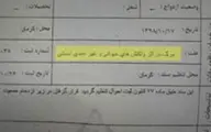 «علت فوت جان‌باختگان حادثه کرمان» و رها‌شدگی نظام اداری ما
