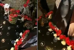 «ختم پارتی»، پدیده‌ای از جنسِ «جشنِ طلاق»