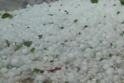 زمین های کشاورزی ۱۷ روستای ارومیه دچار خسارت شدند