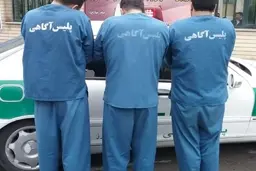 سارقان حرفه ای با ۳۰۵ فقره سرقت در کرج دستگیر شدند