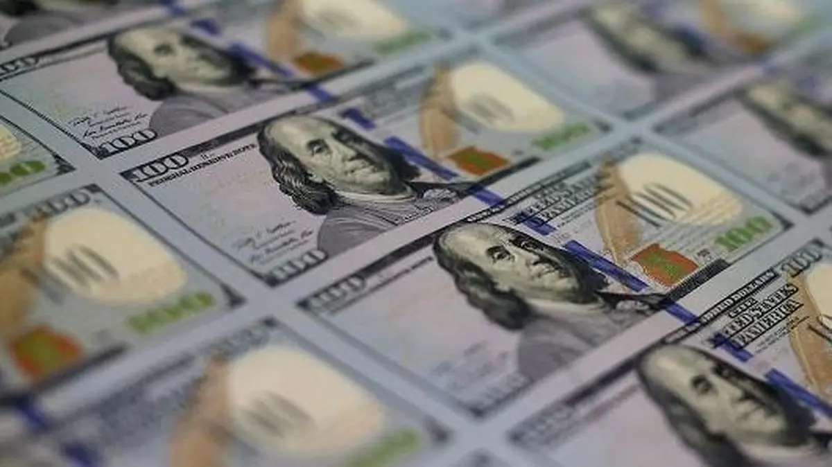دلار| دلار در کف دو ساله