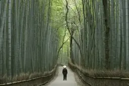   آشنایی با مراسم و سنت‌های خاص برای تقویت جسم و روح در سراسر جهان