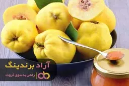 هفت راز افراد موفق و تاثیر گذار