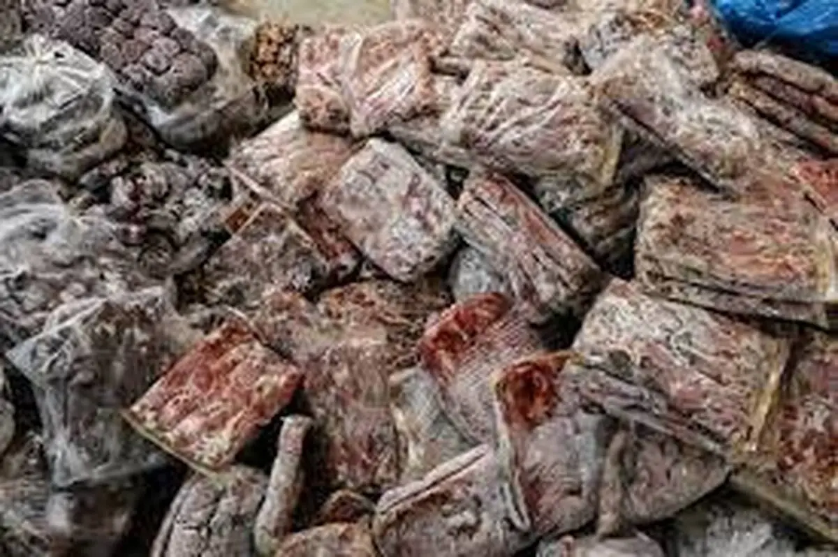  نگهداری غیراستاندارد صدها کیلو گوشت و مرغ در یکی از رستوران‌های معروف تهران+ویدئو
