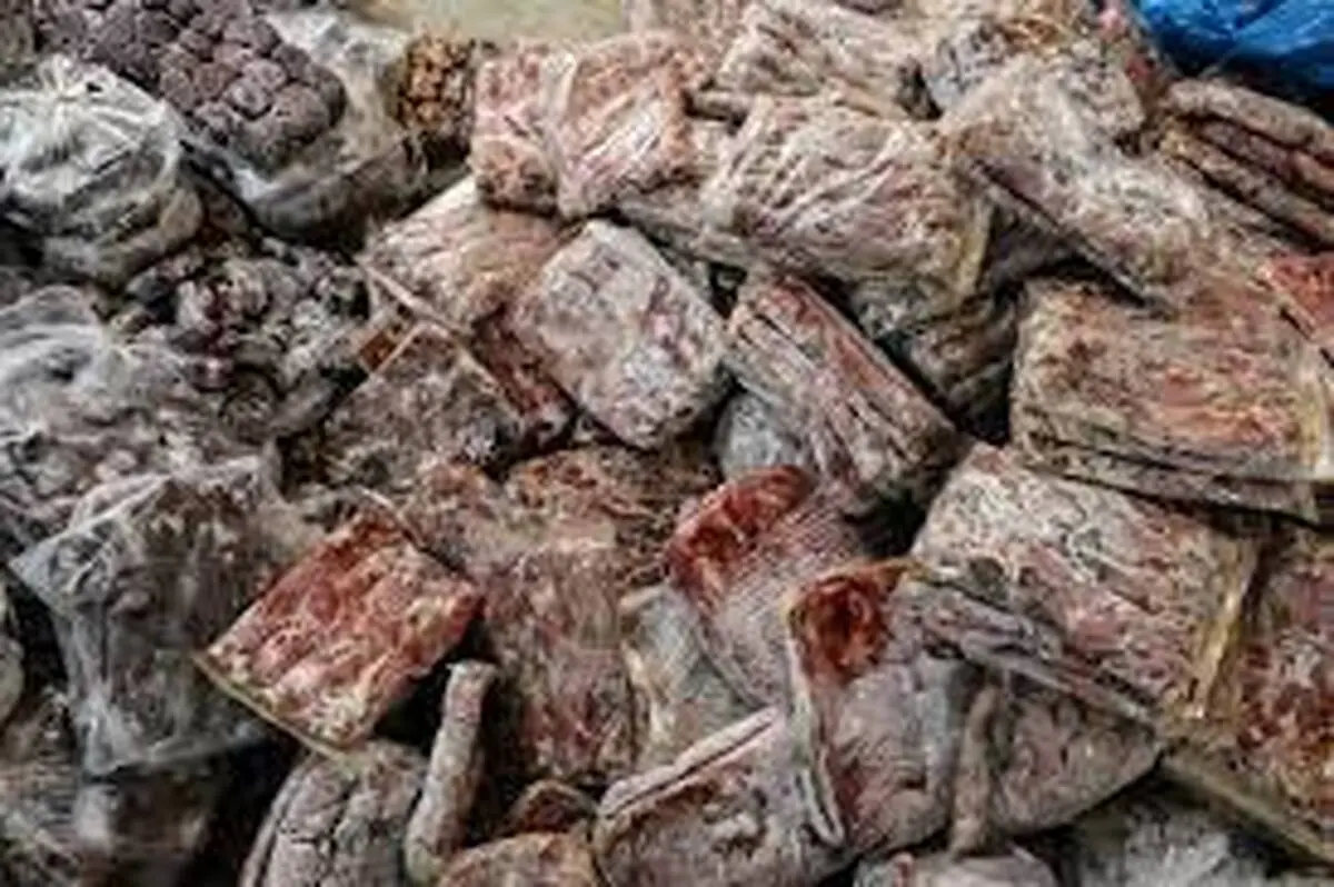  نگهداری غیراستاندارد صدها کیلو گوشت و مرغ در یکی از رستوران‌های معروف تهران+ویدئو