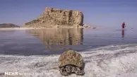  کاهش ۶۶ سانتی متری تراز دریاچه ارومیه 