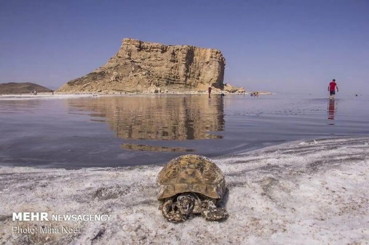 کاهش ۶۶ سانتی متری تراز دریاچه ارومیه 