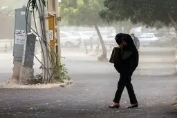  وزش باد شدید  در تهران  | تشدید بارش ها  در برخی از مناطق
