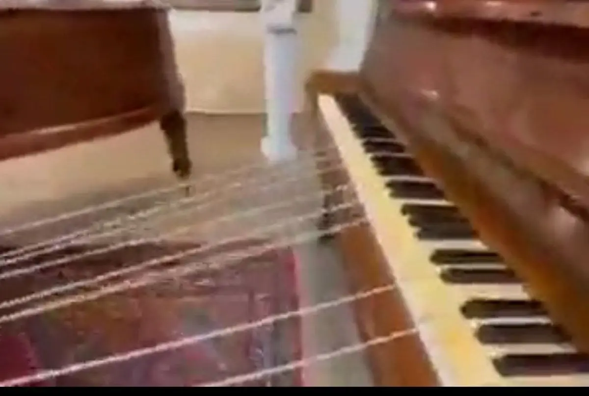 پیانونوازی از راه دور!+ویدئو