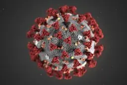 پیرزن ۹۱ ساله بابلی کرونا را شکست داد