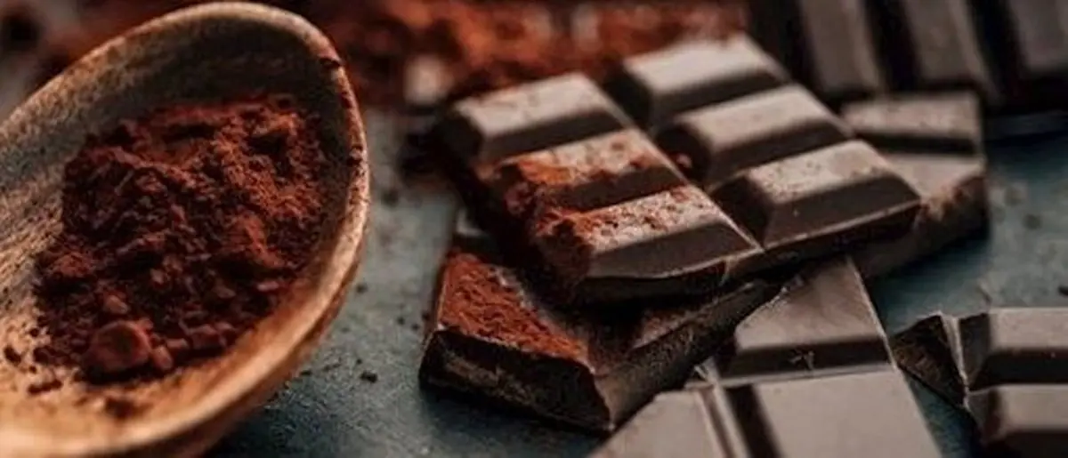 اصلی ترین موادغذایی تامین "روی" بدن | شکلات تلخ محبوب ترین منبع تامین روی است