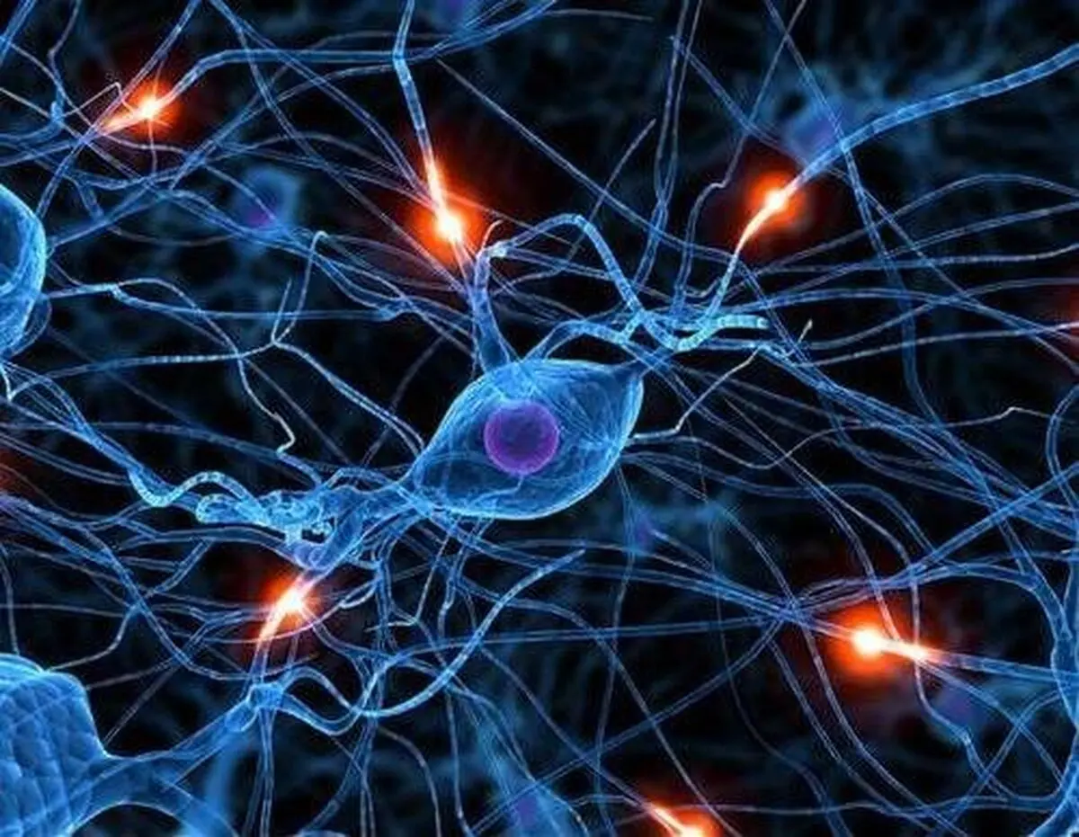 چقدر از حیات را فیزیک می‌تواند توضیح دهد؟