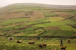 تصاویری حیرت‌آور از بهشت خراسان| خراسان زیبا در اردیبهشت+تصاویر 

