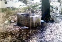 زندگی جالب شهید آمریکایی در ایران+ عکس 