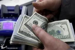 کاهش حجم ۵۰ درصد ی عرضه ارز از طریق سامانه نیما 