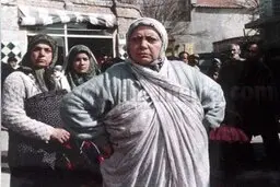 تصویری از حضور کیانفر و حمید خیرآبادی در فیلم «یک مرد یک خرس» 