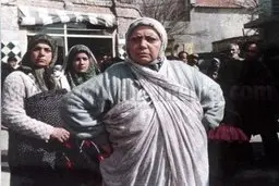 تصویری از حضور کیانفر و حمید خیرآبادی در فیلم «یک مرد یک خرس» 