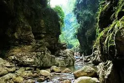 معرفی تنگه ناشناخته در دل جنگل های نوشهر | آمازون ایران کجاست؟ +ویدئو