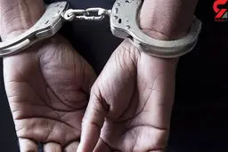 مدیر عامل یک شرکت دولتی شبانه روانه زندان شد