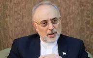 
 مذاکرات خوب جلو می‌رود  | دست ایران از نظر فنی بسیار پر است
