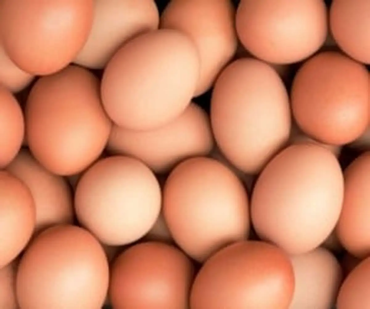 عوارض جبران ناپذیر مصرف زیاد تخم مرغ |   خطر مرگ در کمین است 