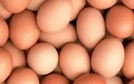 قیمت جدید تخم مرغ در بازار اعلام شد 