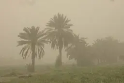 ورود توده جدید گرد و غبار از سوی کشور عراق به ایران 
