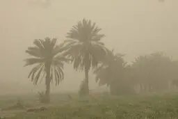 ورود توده جدید گرد و غبار از سوی کشور عراق به ایران 
