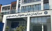 معاون سازمان ملی هوش مصنوعی: از نیروهایمان فقط ۱۵ نفر مانده‌اند