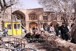سقوط درخت تنومند در بازار تبریز بر اثر تندباد شدید+تصویر 