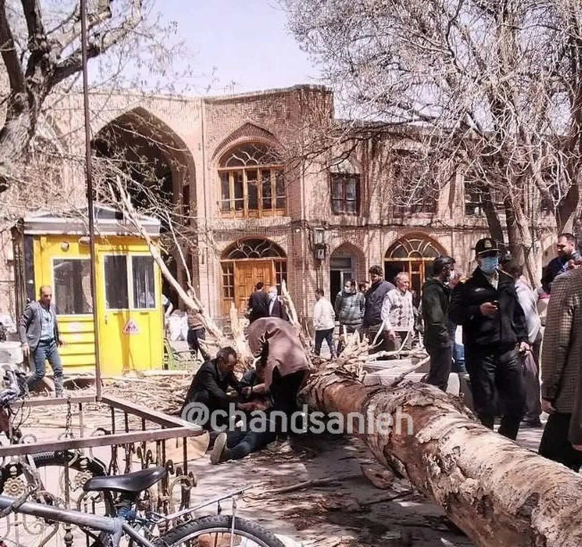 سقوط درخت تنومند در بازار تبریز بر اثر تندباد شدید+تصویر 