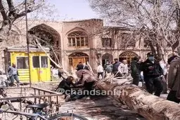 سقوط درخت تنومند در بازار تبریز بر اثر تندباد شدید+تصویر 