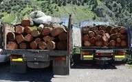 طرح تنفسی که نفس جنگل‌های هیرکانی را گرفت | به داد جنگل برسید