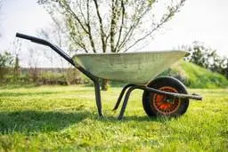 
 برندبازی در بازار فرغون هم داغ است  |  قیمت‌های نجومی بازار فرغون