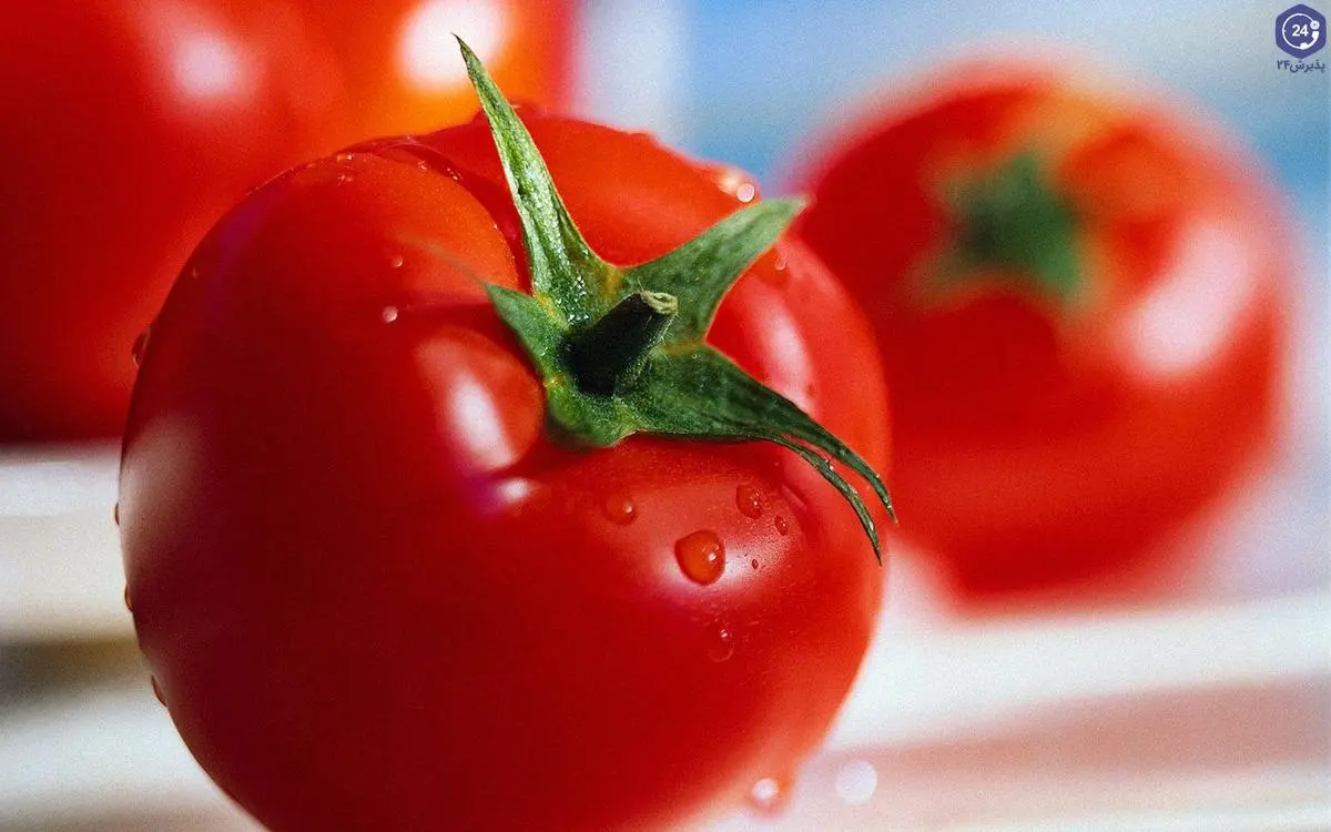 بهترین روش نگهداری گوجه در فریزر | با این چیدمان برای گوجه کیسه کمتر مصرف کن +ویدئو