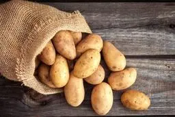 سیب‌زمینی را در هر شرایطی استفاده نکنید! | آموزش روش درست نگهداری از سیب‌زمینی