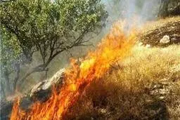 کوه گُرم جهرم دوباره آتش گرفت