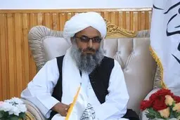 والی هرات: زنان می‌توانند در حد وزارت در دولت مشارکت داشته باشند