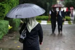 رئیس هواشناسی: اسفند پر بارشی در راه است | اکنون میزان بارش‌ها ۱۰ درصد زیر نرمال است